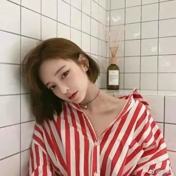 美国动物